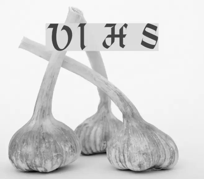 VI Hoàng Sa Font examples