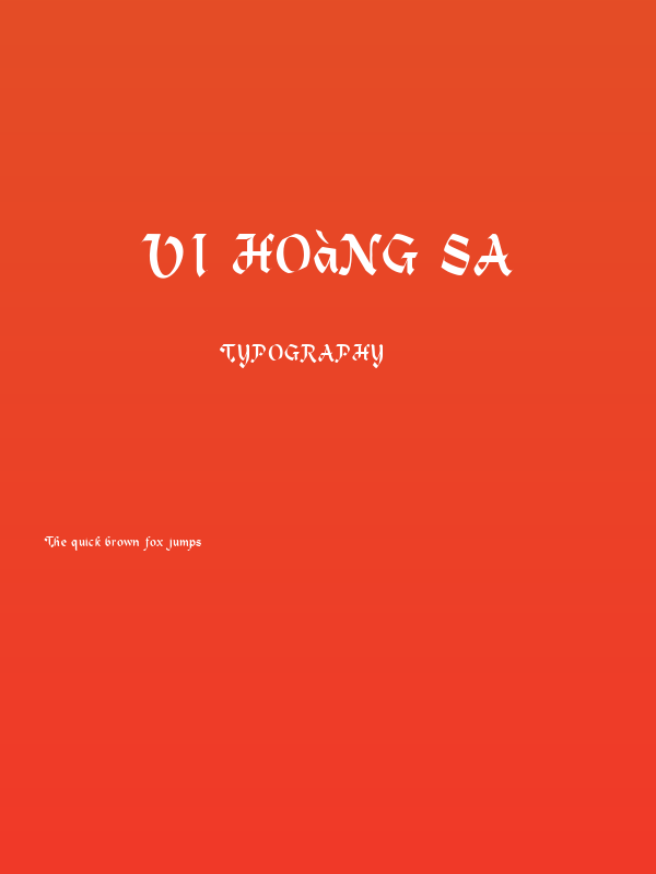 VI Hoàng Sa Poster