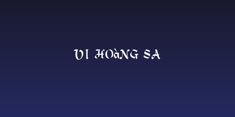 VI Hoàng Sa Social Header