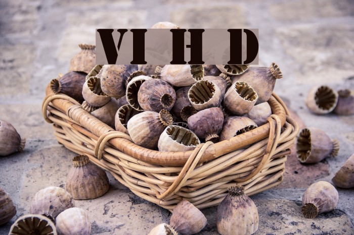 VI Huong Duong Font examples