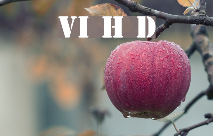 VI Huong Duong Font examples