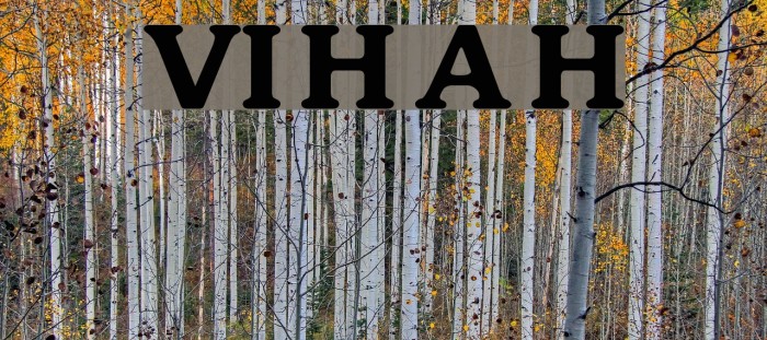 VI Huynh Anh Hoa Font examples