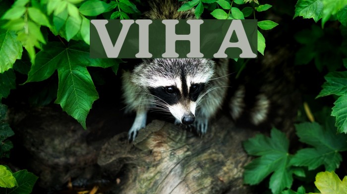 VI Huynh Anh Example 2