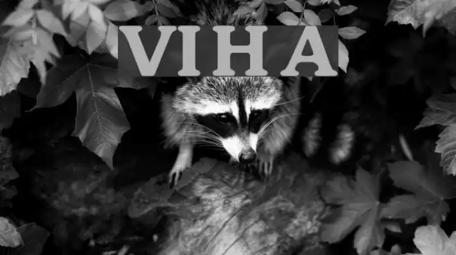 VI Huynh Anh Font examples