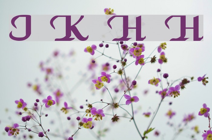 VI Khánh Hà H Font examples
