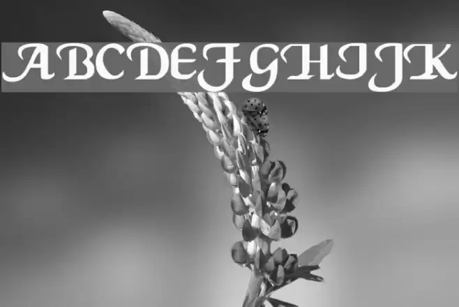 VI Khánh Hà Font examples