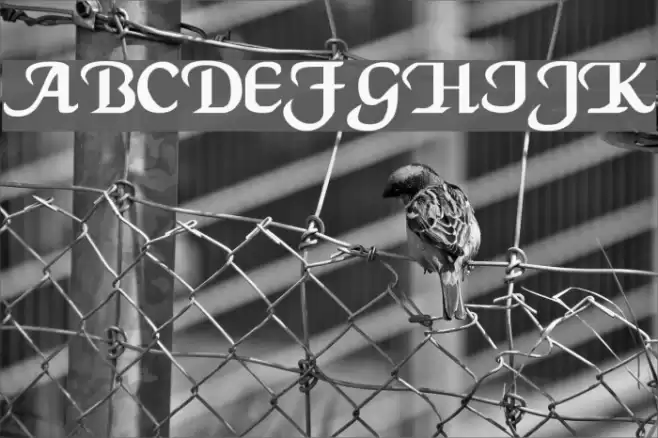 VI Khánh Hà Font examples