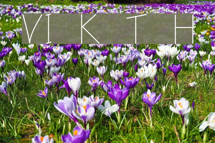 VI Kiên Trúc H Font examples
