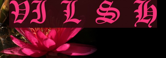 VI Lê Sa H Font examples