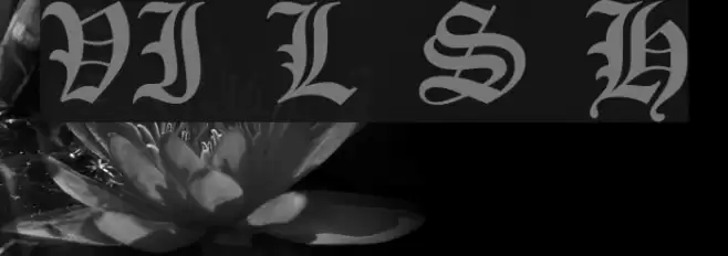 VI Lê Sa H Font examples