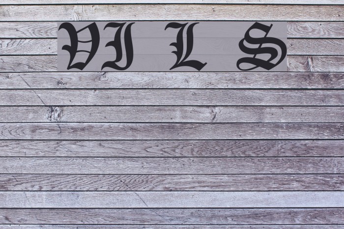 VI Lê Sa Font examples