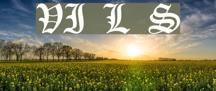VI Lê Sa Font examples