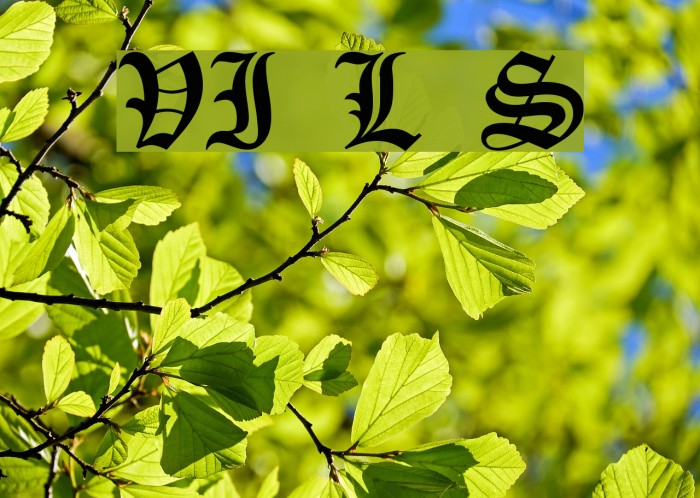 VI Lê Sa Font examples