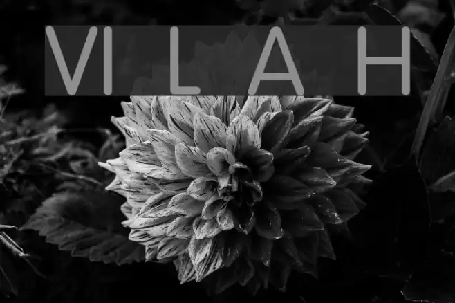 VI Lam Anh Hoa Font examples