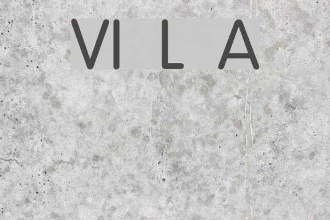 VI Lam Anh Example 2