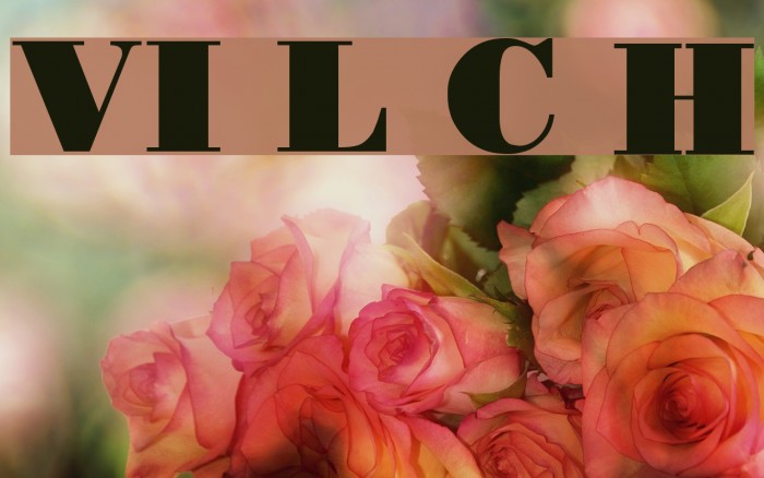VI Le Chi Hoa Font examples