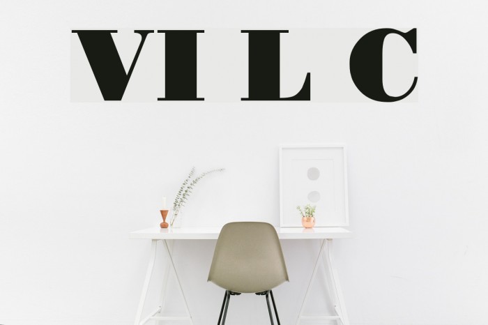 VI Le Chi Font examples