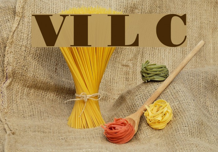 VI Le Chi Font examples