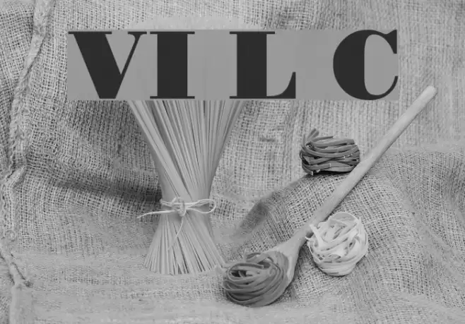 VI Le Chi Font examples