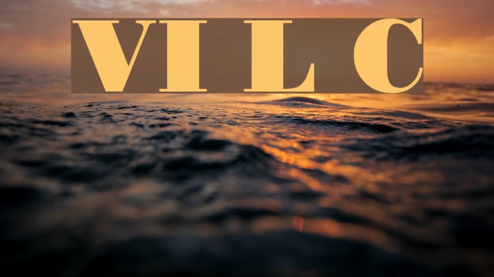 VI Le Chi Font examples