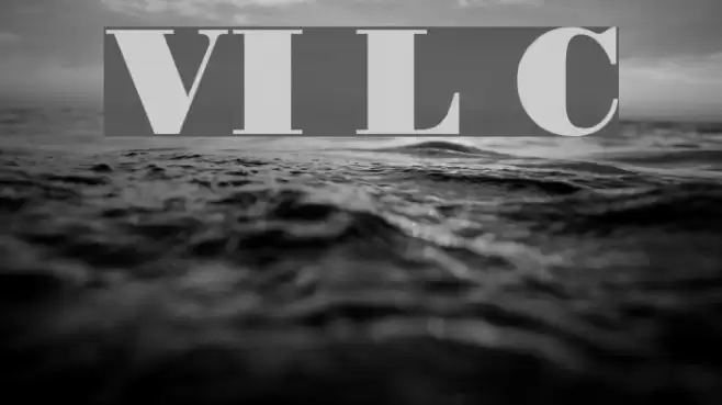 VI Le Chi Font examples