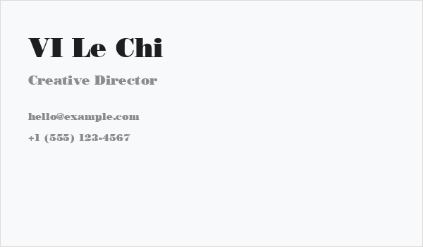 VI Le Chi Business Card