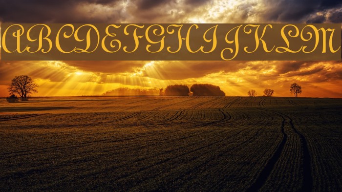 VI Linoscript Example 3