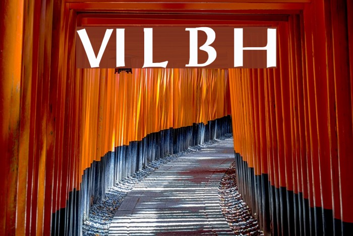 VI Luc Binh Hoa Font examples