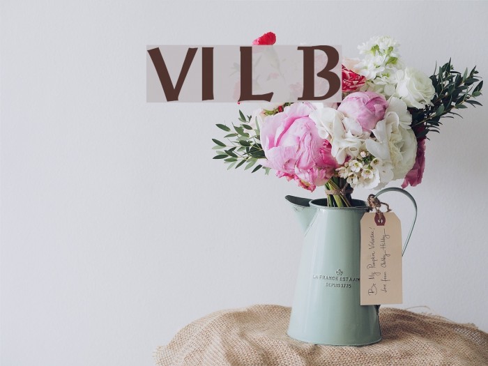 VI Luc Binh Font examples