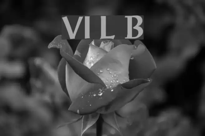 VI Luc Binh Font examples