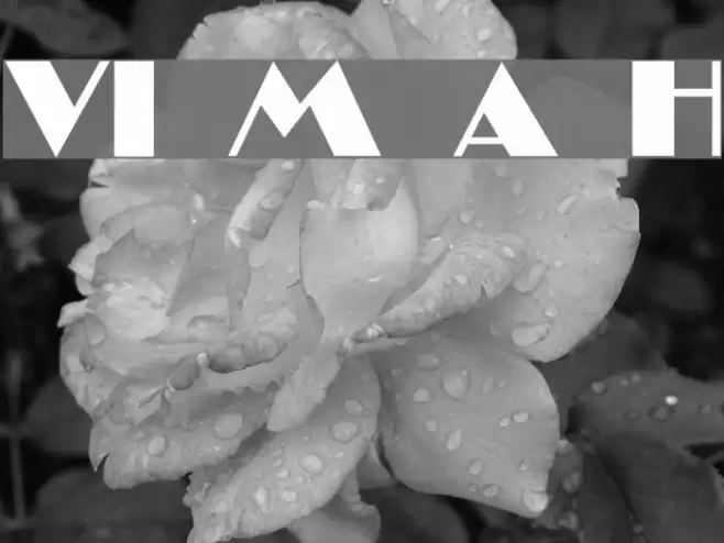 VI Mai Anh H Font examples