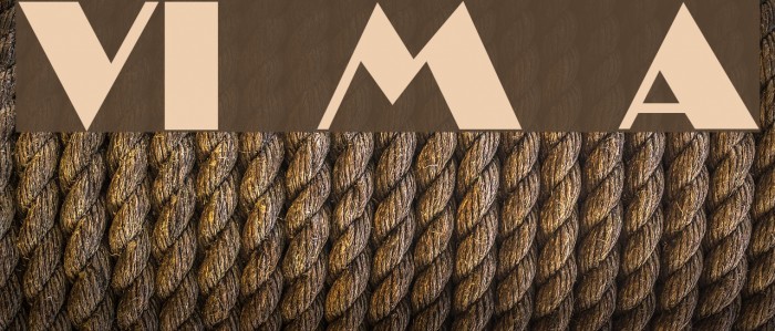 VI Mai Anh Example 2