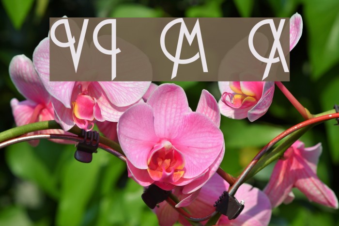 VI Me Xanh Font examples