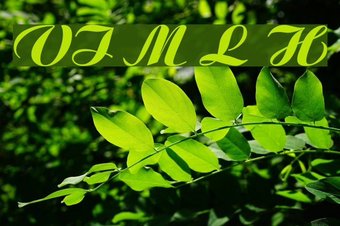 VI Moc Lan Hoa Font examples