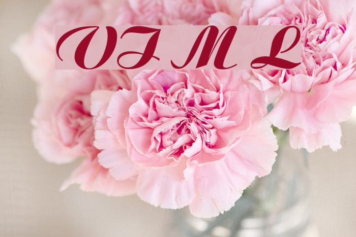 VI Moc Lan Example 1