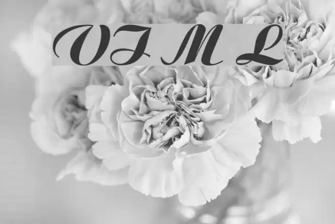 VI Moc Lan Font examples