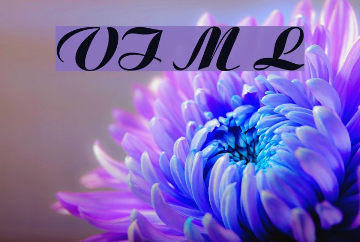 VI Moc Lan Example 3