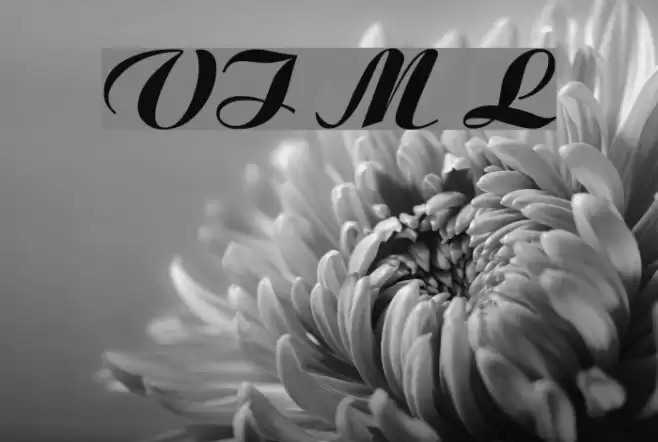 VI Moc Lan Font examples