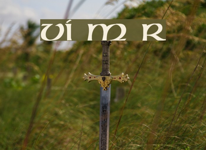 VI Mong Rong Example 1