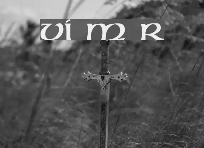 VI Mong Rong Font examples