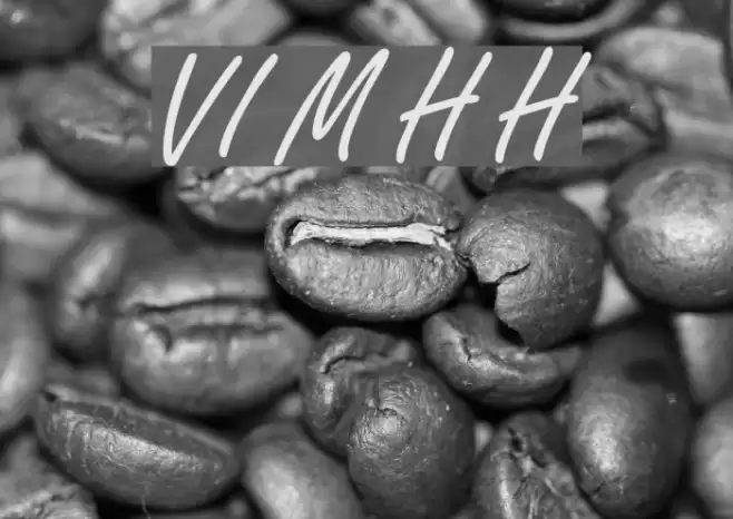 VI My Ha Hoa Font examples