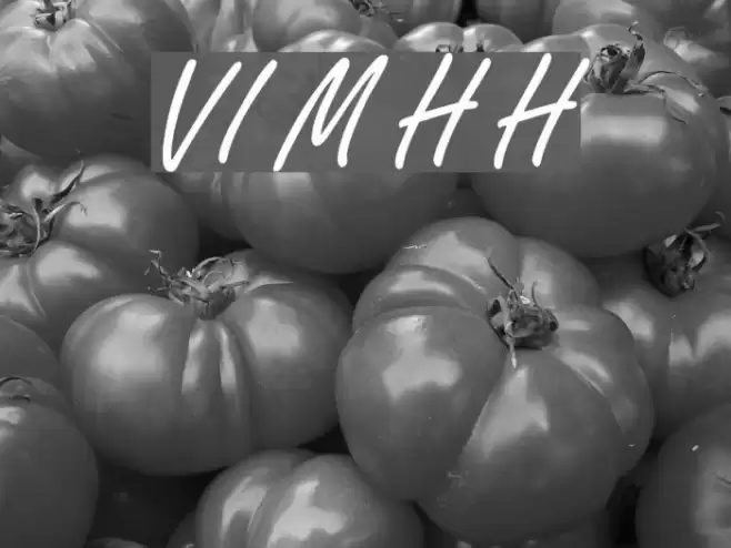 VI My Ha Hoa Font examples