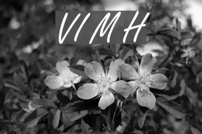 VI My Ha Font examples