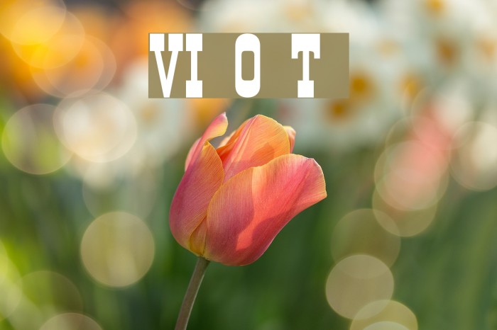 VI Old Town normal Font examples