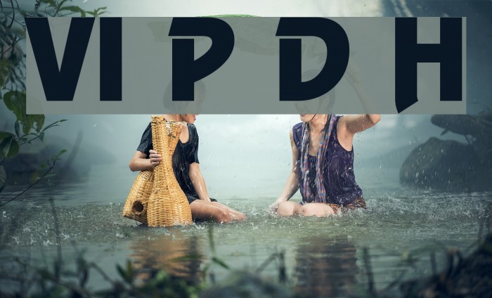 VI Phu Dung Hoa Font examples