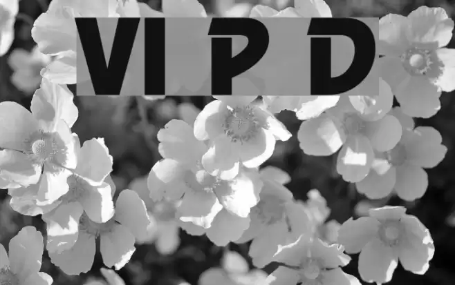 VI Phu Dung Font examples