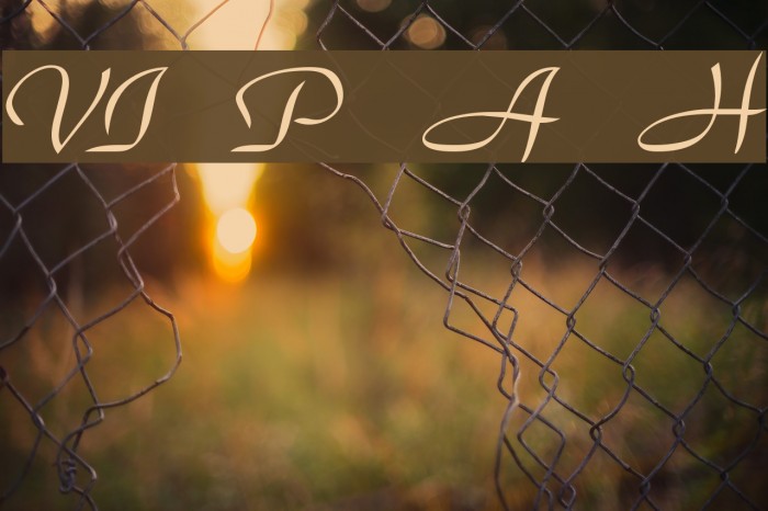 VI Phuong Anh Hoa Font examples