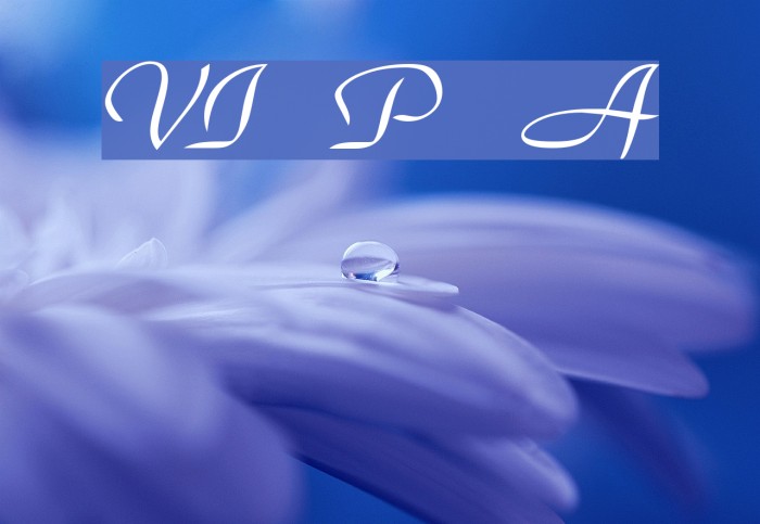 VI Phuong Anh फ़ॉन्ट examples