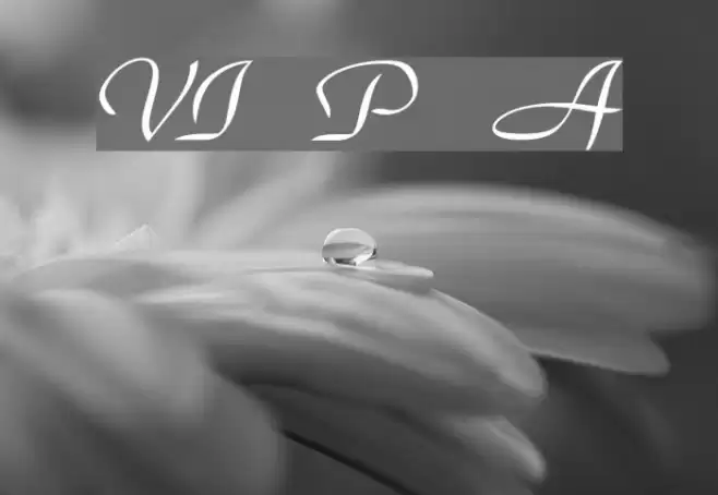 VI Phuong Anh Font examples