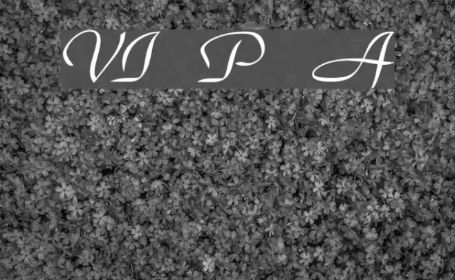 VI Phuong Anh Font examples